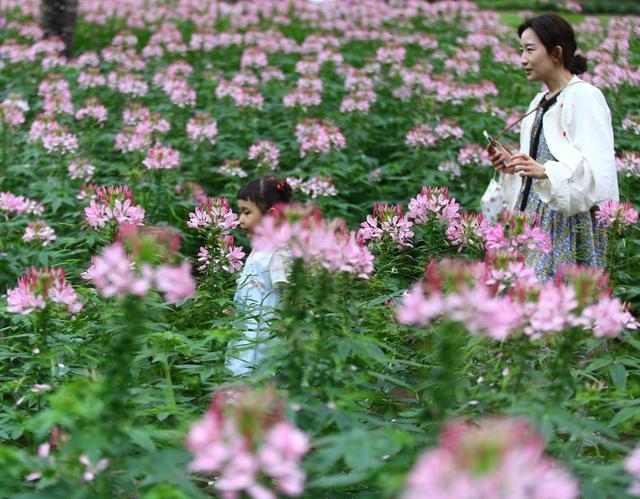 2022年立春时间几点几分几秒钟 二月四日四十五十分，2022年立春时间几点几分几秒钟（节气里的中国丨立春日）