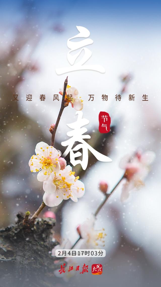 立春的寓意和象征，立春象征着什么（今日，立春）