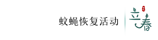 立春的寓意和象征，立春象征着什么（今日，立春）