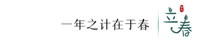 立春的寓意和象征，立春象征着什么（今日，立春）