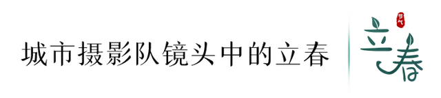 立春的寓意和象征，立春象征着什么（今日，立春）