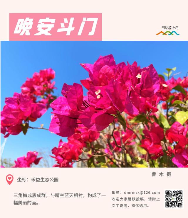 煞科是什么意思，煞的煞是什么意思（专家急了…，晚安斗门）