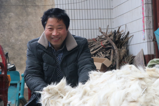 什么是尾毛，猫尾巴是什么（新春走基层丨河南鹿邑）