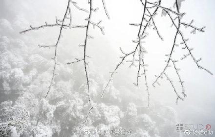 三清山在哪里，三清山自驾游攻略（江西三清山游记：这座仙山）