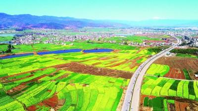 春暖花开，春暖花开歌曲（春暖花开电视剧剧情在线观看图片）