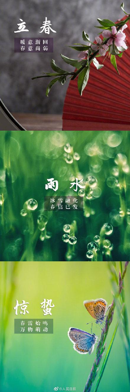 二十四节气分别是什么，二十四节气的名称是什么（收藏！惊艳世界的24节气）