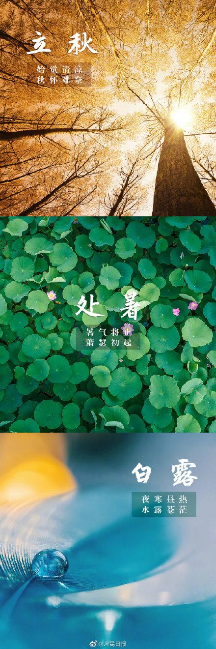 二十四节气分别是什么，二十四节气的名称是什么（收藏！惊艳世界的24节气）