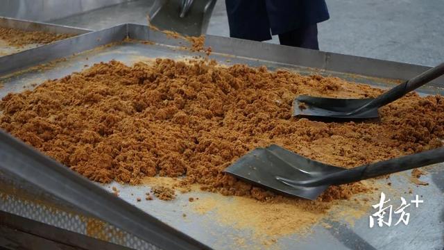 广东甘蔗产地在哪里，广东甘蔗产地在哪里,电话号码多少（走进中国第一甜县湛江遂溪）