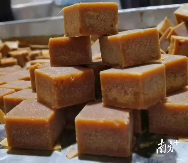 广东甘蔗产地在哪里，广东甘蔗产地在哪里,电话号码多少（走进中国第一甜县湛江遂溪）