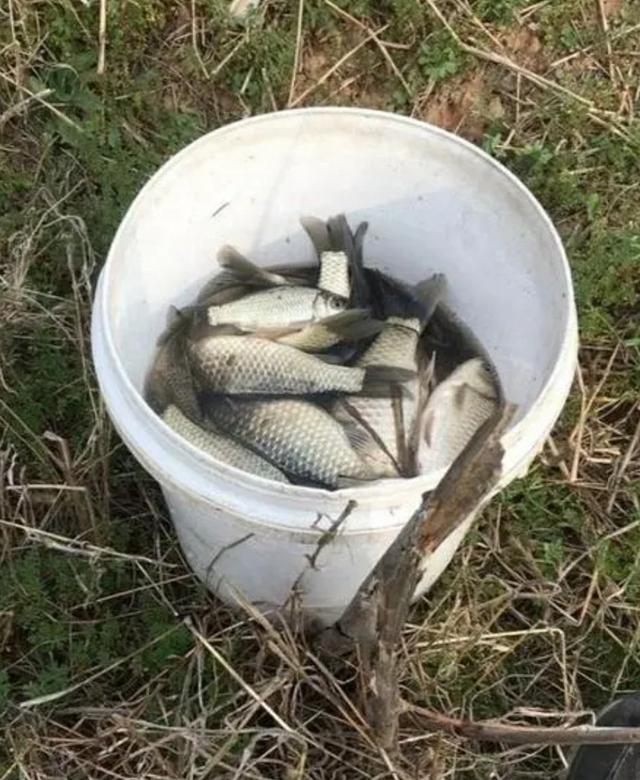 阴天钓鱼钓深还是钓浅，下雨天钓鱼应该钓深水还是浅水（钓深、钓浅应该如何选择）