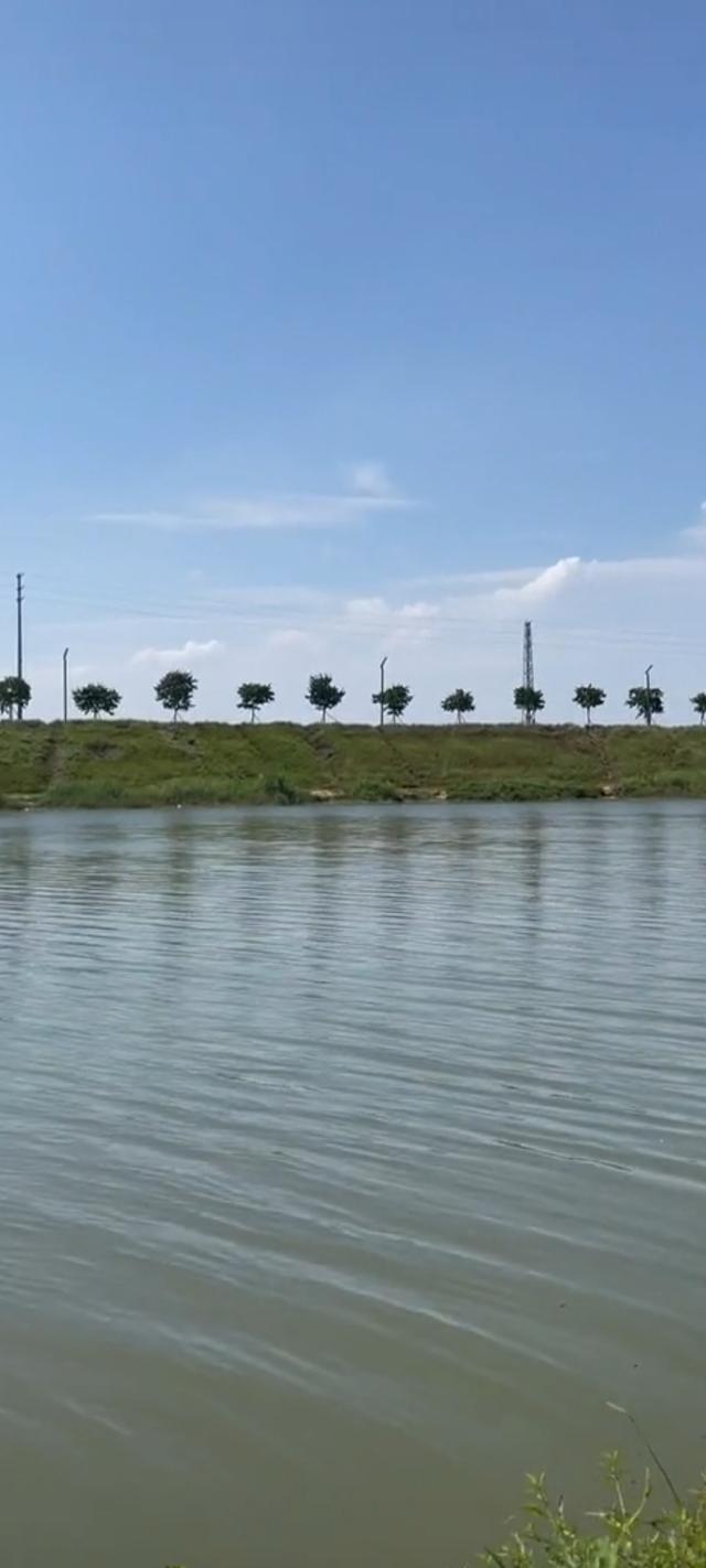 阴天钓鱼钓深还是钓浅，下雨天钓鱼应该钓深水还是浅水（钓深、钓浅应该如何选择）