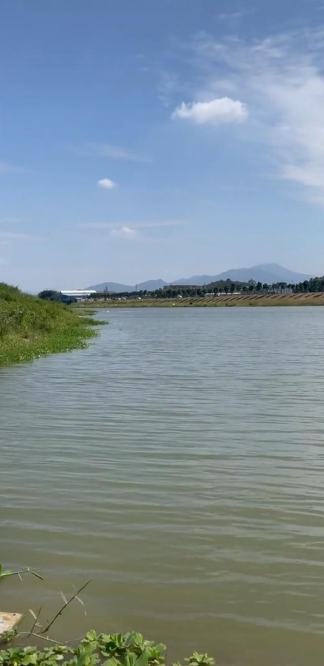 阴天钓鱼钓深还是钓浅，下雨天钓鱼应该钓深水还是浅水（钓深、钓浅应该如何选择）