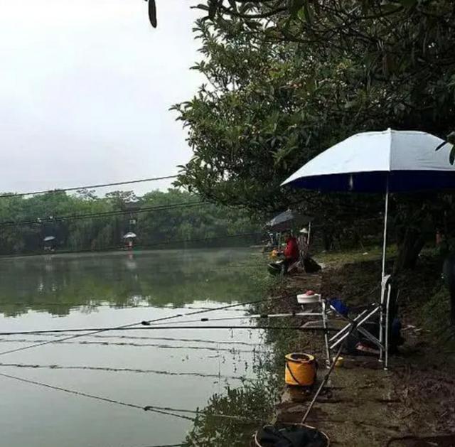 阴天钓鱼钓深还是钓浅，下雨天钓鱼应该钓深水还是浅水（钓深、钓浅应该如何选择）