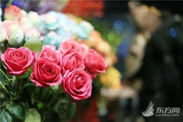 永生花多少钱一支，永生花价格查询（沪上花商进货靠“抢”……还买吗）