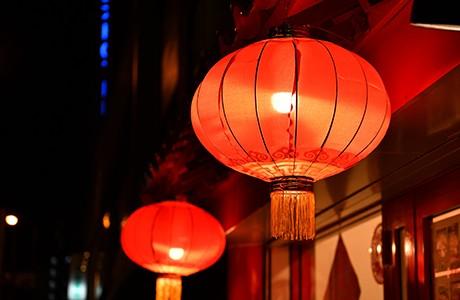 永生花多少钱一支，永生花价格查询（沪上花商进货靠“抢”……还买吗）