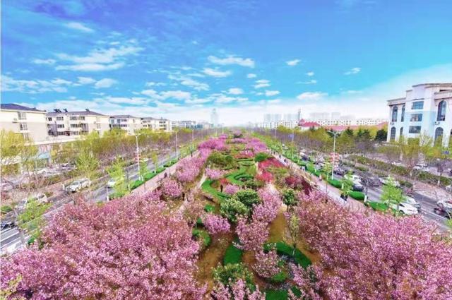 什么是工程管理，什么是工程管理的核心,也是BIM（八大常态化管理工程扮靓环境）