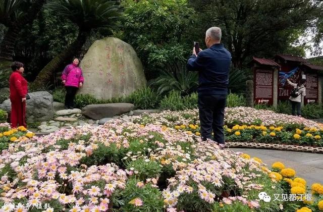 夕阳天使陈艾琳为什么死，夕阳天使陈艾琳为什么死了（6条春季旅游精品线路等你来玩~）