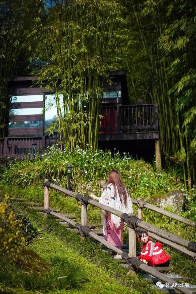 夕阳天使陈艾琳为什么死，夕阳天使陈艾琳为什么死了（6条春季旅游精品线路等你来玩~）