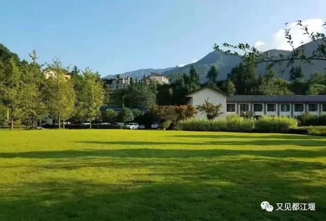 夕阳天使陈艾琳为什么死，夕阳天使陈艾琳为什么死了（6条春季旅游精品线路等你来玩~）