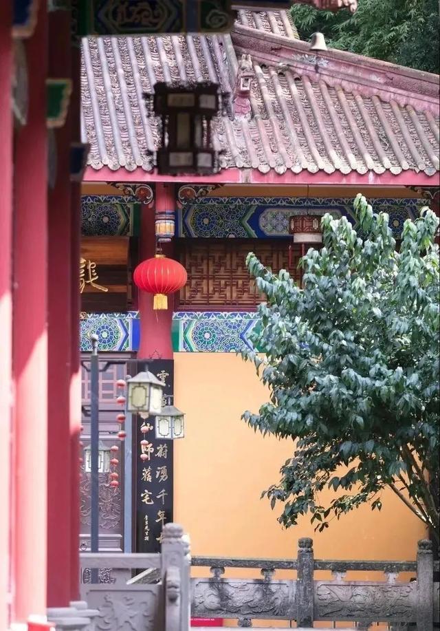 夕阳天使陈艾琳为什么死，夕阳天使陈艾琳为什么死了（6条春季旅游精品线路等你来玩~）