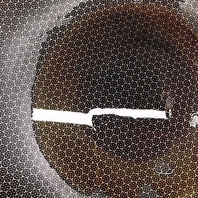 烤牛蛙的做法，烤牛蛙的做法大全视频烤盘（有料惊“喜”#香辣牛蛙）