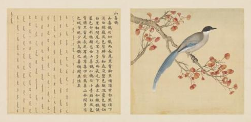 故宫猫（故宫猫名册，故宫里为什么会养那么多猫（清宫中的宠物都有哪些呢）