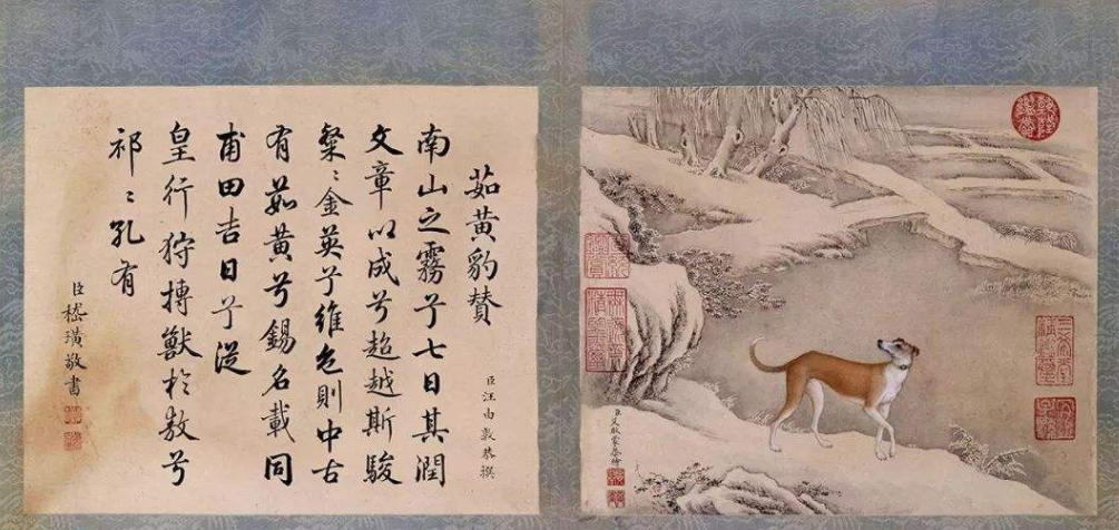 故宫猫（故宫猫名册，故宫里为什么会养那么多猫（清宫中的宠物都有哪些呢）