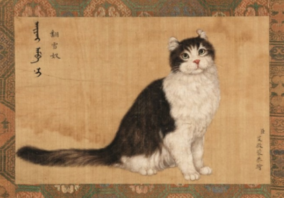 故宫猫（故宫猫名册，故宫里为什么会养那么多猫（清宫中的宠物都有哪些呢）