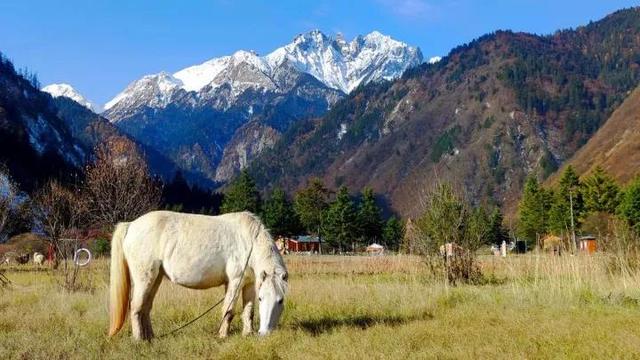 位于四川阿坝州的国家级风景区，位于四川阿坝州的国家级风景区 山（阿坝州又添2家国家级4A景区）