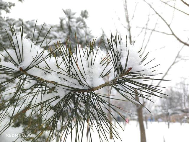 苹果x呼吸灯怎么设置，iPhoneX前置呼吸灯怎么设置（高效散热专为游戏玩家打造）