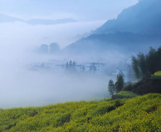 婺源几月份去最美，婺源什么时候去最好（这里有世间最美的春天）