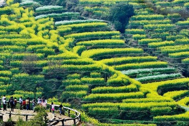 婺源几月份去最美，婺源什么时候去最好（这里有世间最美的春天）