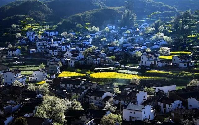 婺源几月份去最美，婺源什么时候去最好（这里有世间最美的春天）