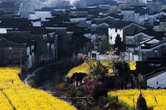 婺源几月份去最美，婺源什么时候去最好（这里有世间最美的春天）
