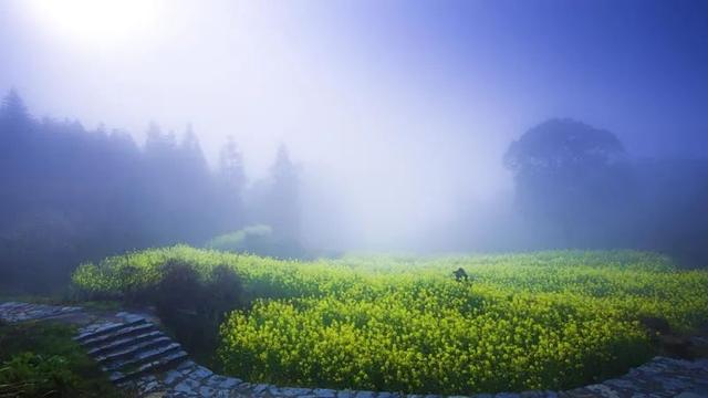 婺源几月份去最美，婺源什么时候去最好（这里有世间最美的春天）