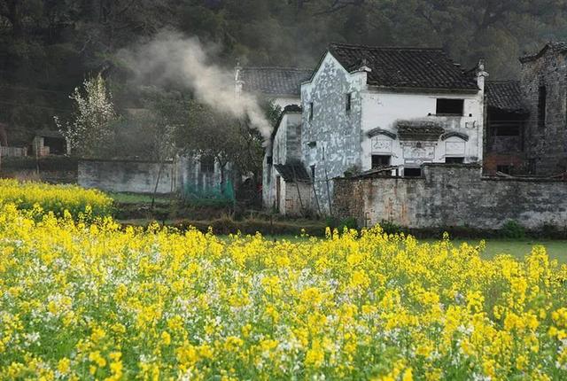 婺源几月份去最美，婺源什么时候去最好（这里有世间最美的春天）