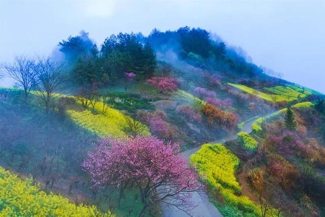 婺源几月份去最美，婺源什么时候去最好（这里有世间最美的春天）