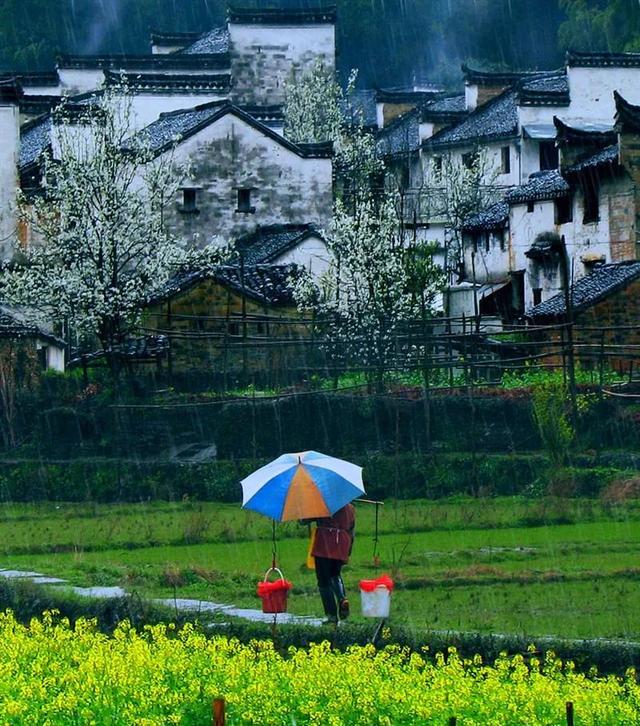 婺源几月份去最美，婺源什么时候去最好（这里有世间最美的春天）