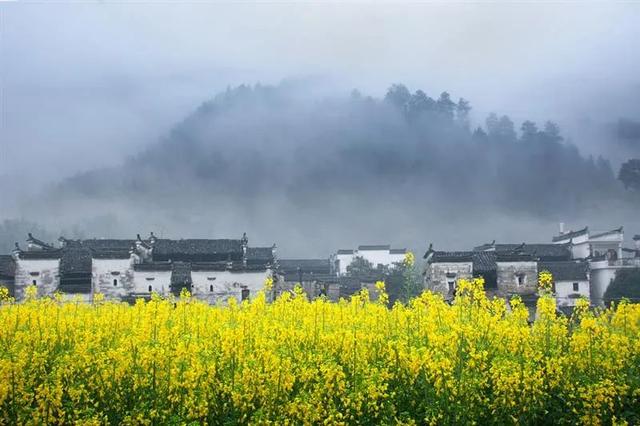 婺源几月份去最美，婺源什么时候去最好（这里有世间最美的春天）