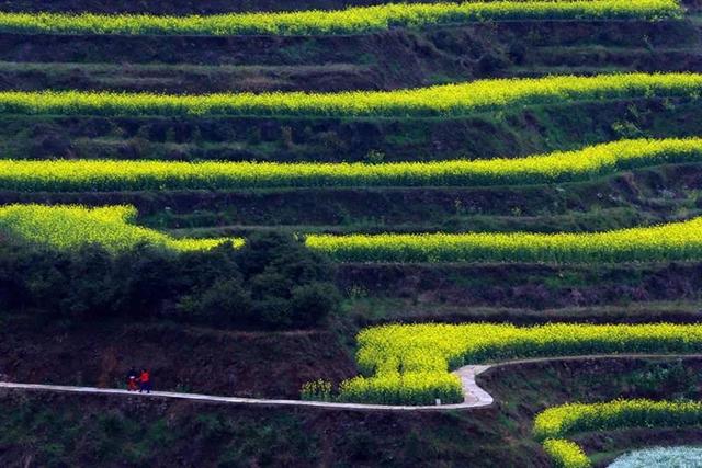 婺源几月份去最美，婺源什么时候去最好（这里有世间最美的春天）