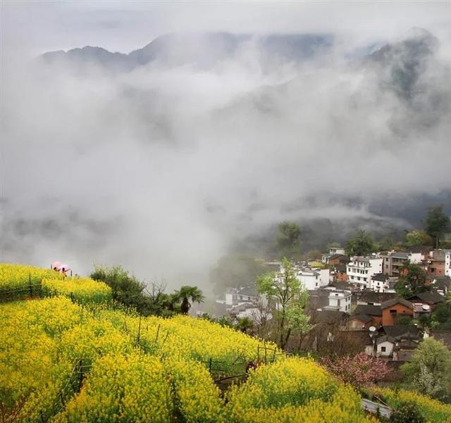 婺源几月份去最美，婺源什么时候去最好（这里有世间最美的春天）