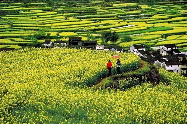 婺源几月份去最美，婺源什么时候去最好（这里有世间最美的春天）