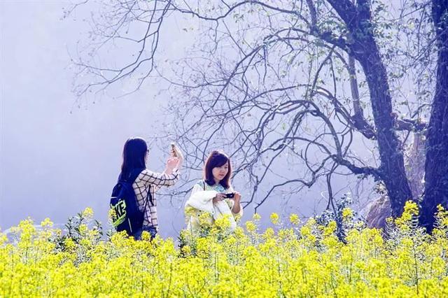 婺源几月份去最美，婺源什么时候去最好（这里有世间最美的春天）