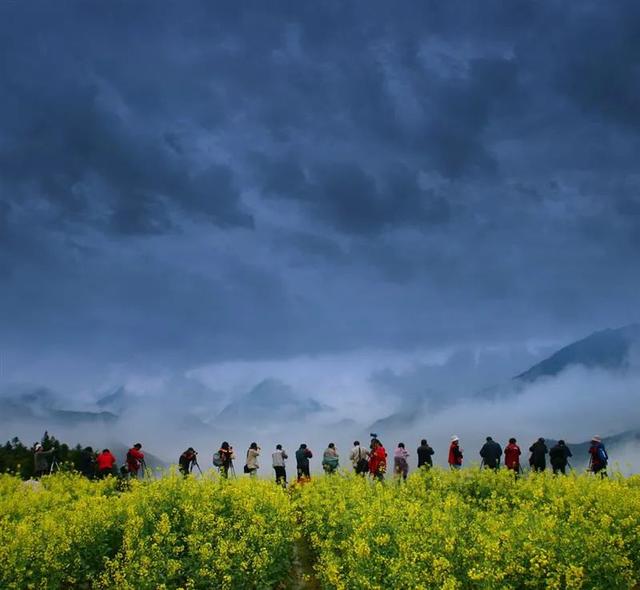 婺源几月份去最美，婺源什么时候去最好（这里有世间最美的春天）