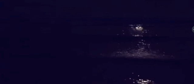 蓝眼泪是什么，蓝眼泪是什么生物图片（“蓝眼泪”到底是啥）