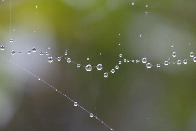春什么化雨四字词语，春什么化雨（今日雨水—好雨知时节）