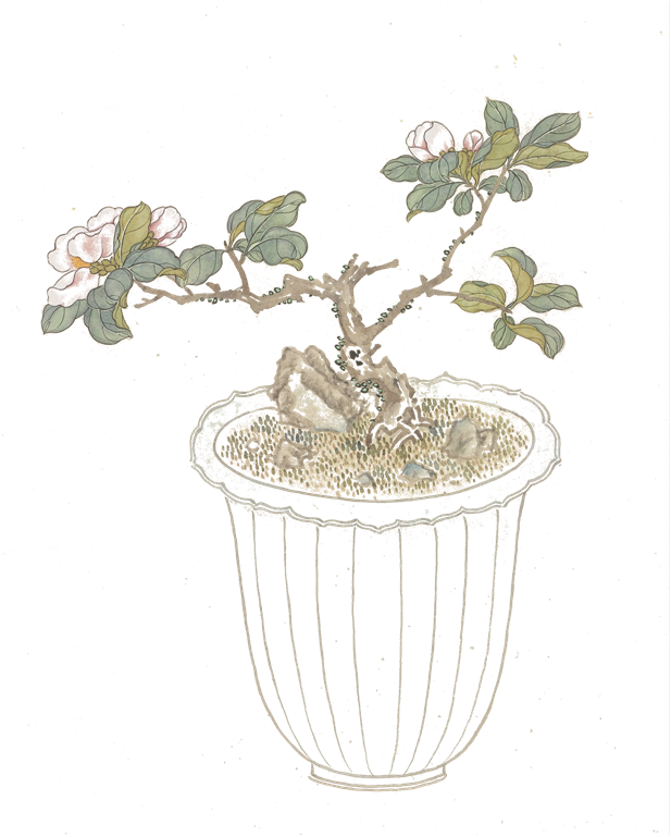 芽字拼音，芽的音节是什么（二十四节气，一年说到头）