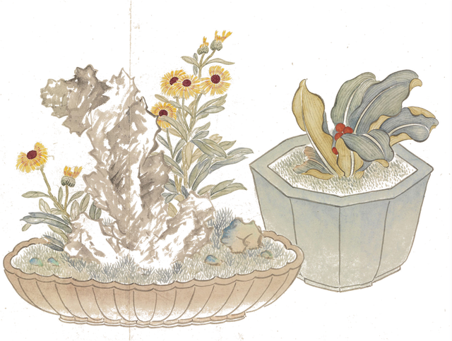 芽字拼音，芽的音节是什么（二十四节气，一年说到头）