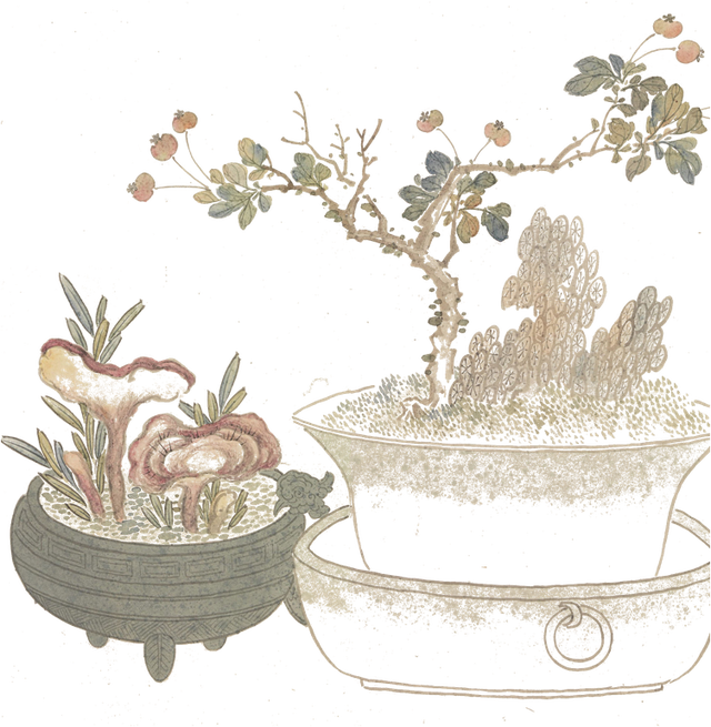 芽字拼音，芽的音节是什么（二十四节气，一年说到头）