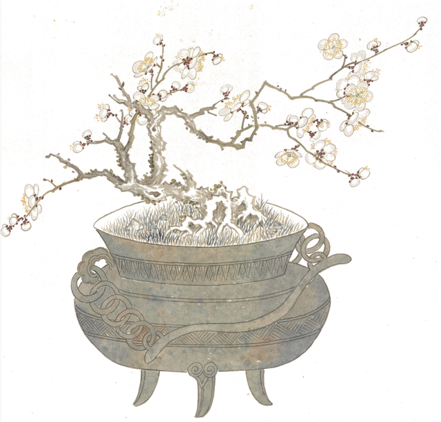 芽字拼音，芽的音节是什么（二十四节气，一年说到头）